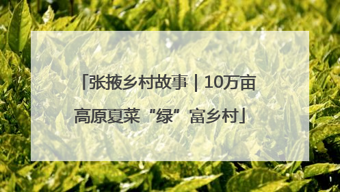 张掖乡村故事｜10万亩高原夏菜“绿”富乡村