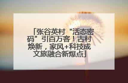张谷英村“活态密码”引百万客！古村焕新，家风+科技成文旅融合新爆点