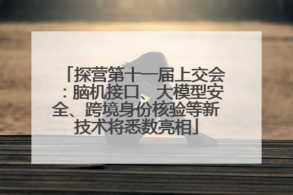探营第十一届上交会：脑机接口、大模型安全、跨境身份核验等新技术将悉数亮相