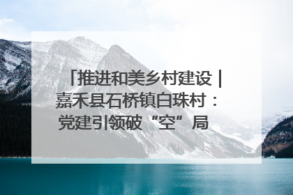 推进和美乡村建设｜嘉禾县石桥镇白珠村：党建引领破“空”局 乡贤聚力绘就新图景