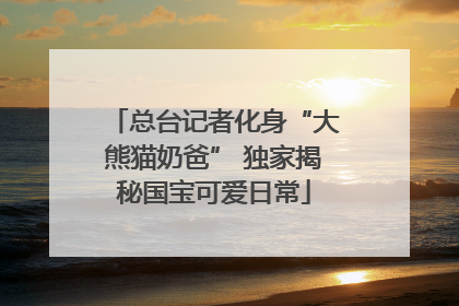 总台记者化身“大熊猫奶爸” 独家揭秘国宝可爱日常