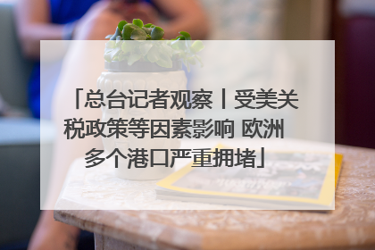 总台记者观察丨受美关税政策等因素影响 欧洲多个港口严重拥堵