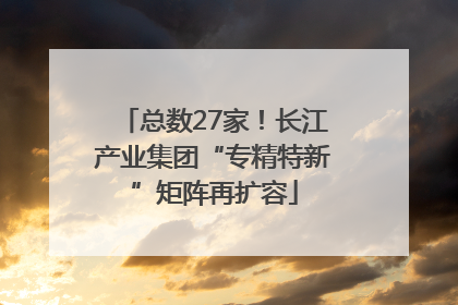 总数27家！长江产业集团“专精特新”矩阵再扩容