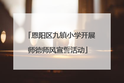恩阳区九镇小学开展师德师风宣誓活动