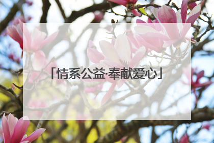 情系公益·奉献爱心