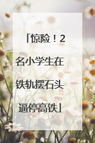 惊险！2名小学生在铁轨摆石头逼停高铁
