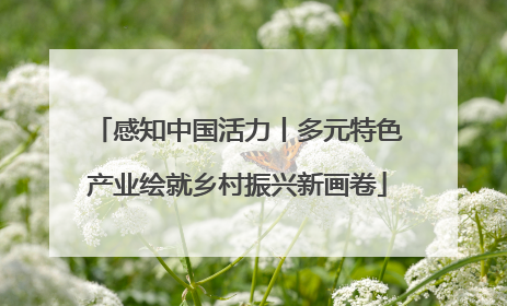 感知中国活力丨多元特色产业绘就乡村振兴新画卷