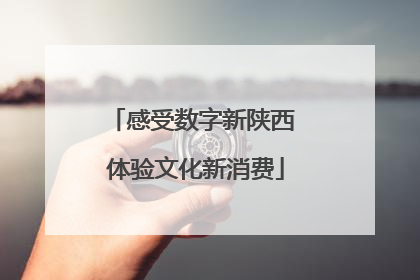 感受数字新陕西 体验文化新消费