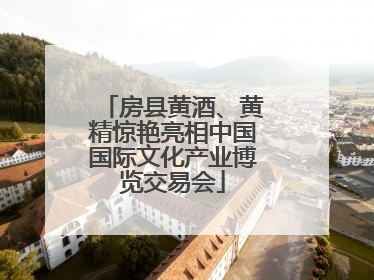 房县黄酒、黄精惊艳亮相中国国际文化产业博览交易会