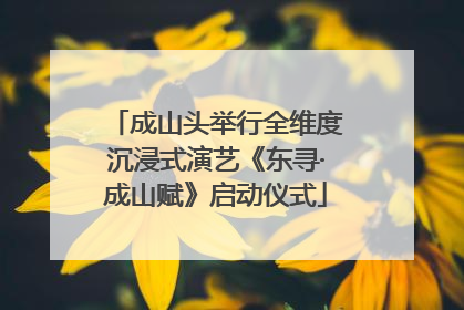 成山头举行全维度沉浸式演艺《东寻·成山赋》启动仪式