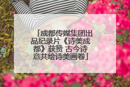成都传媒集团出品纪录片《诗美成都》获赞 古今诗意共绘诗美画卷