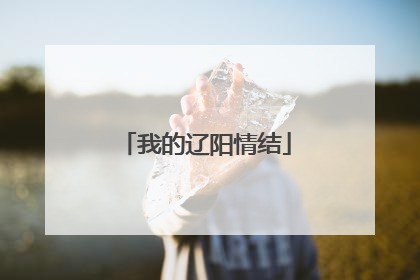 我的辽阳情结