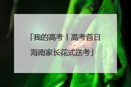 我的高考丨高考首日 海南家长花式送考