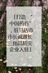 打造 “中国药谷”，驻马店市市长诚邀长三角高精尖企业入驻