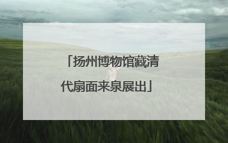 扬州博物馆藏清代扇面来泉展出
