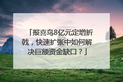 报喜鸟8亿元定增折戟，快速扩张中如何解决巨额资金缺口？