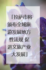 拉萨市将颁布全域旅游发展地方性法规 促进文旅产业大发展