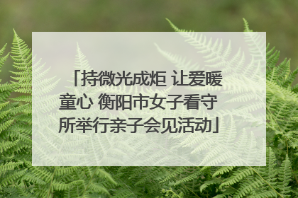 持微光成炬 让爱暖童心 衡阳市女子看守所举行亲子会见活动
