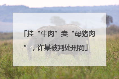 挂“牛肉”卖“母猪肉”，许某被判处刑罚