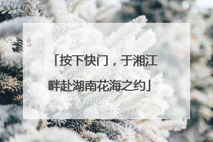 按下快门，于湘江畔赴湖南花海之约