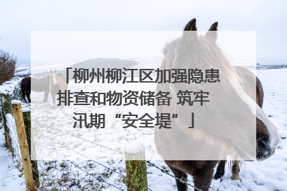 柳州柳江区加强隐患排查和物资储备 筑牢汛期“安全堤”