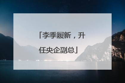 李季履新，升任央企副总