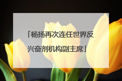 杨扬再次连任世界反兴奋剂机构副主席
