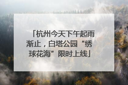 杭州今天下午起雨渐止，白塔公园“绣球花海”限时上线