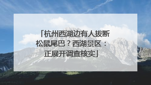 杭州西湖边有人拔断松鼠尾巴？西湖景区：正展开调查核实