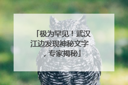 极为罕见！武汉江边发现神秘文字，专家揭秘