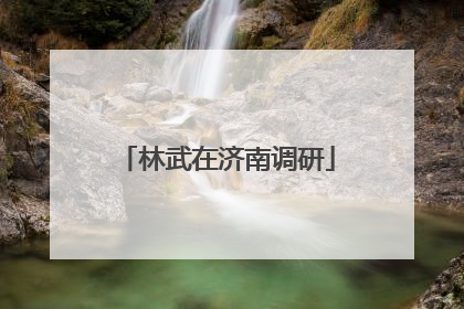 林武在济南调研