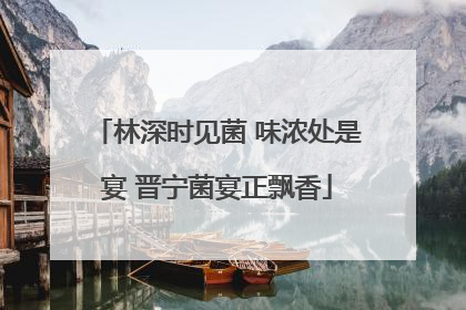 林深时见菌 味浓处是宴 晋宁菌宴正飘香