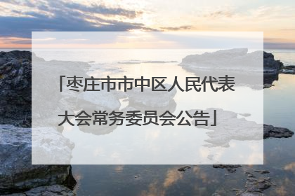 枣庄市市中区人民代表大会常务委员会公告