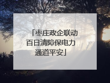 枣庄政企联动百日清障保电力通道平安