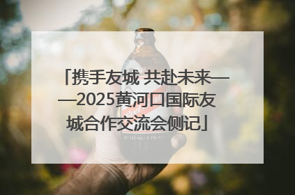 携手友城 共赴未来——2025黄河口国际友城合作交流会侧记