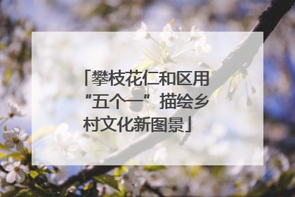 攀枝花仁和区用“五个一”描绘乡村文化新图景