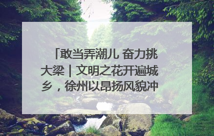敢当弄潮儿 奋力挑大梁｜文明之花开遍城乡，徐州以昂扬风貌冲刺“万亿之城”