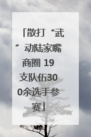 散打“武”动陆家嘴商圈 19支队伍300余选手参赛