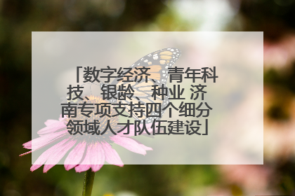 数字经济、青年科技、银龄、种业 济南专项支持四个细分领域人才队伍建设