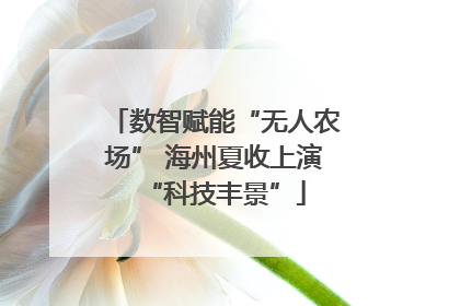 数智赋能“无人农场” 海州夏收上演“科技丰景”