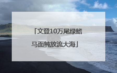 文登10万尾绿鳍马面鲀放流大海