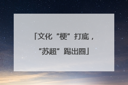 文化“梗”打底，“苏超”踢出圈