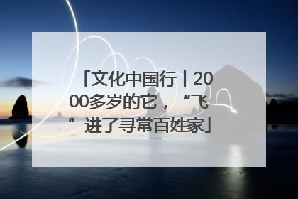 文化中国行丨2000多岁的它，“飞”进了寻常百姓家