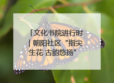 文化书院进行时｜朝阳社区“指尖生花 古韵悠扬”公益课堂开课了