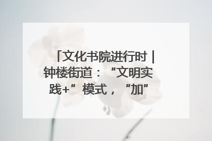 文化书院进行时｜钟楼街道：“文明实践+”模式，“加”出百姓幸福感