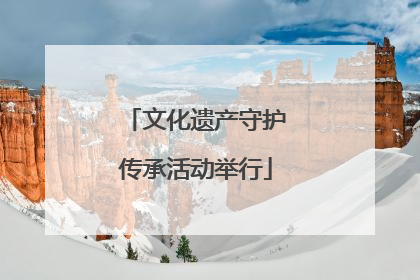 文化遗产守护传承活动举行