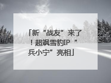 新“战友”来了！超飒雪豹IP“兵小宁”亮相