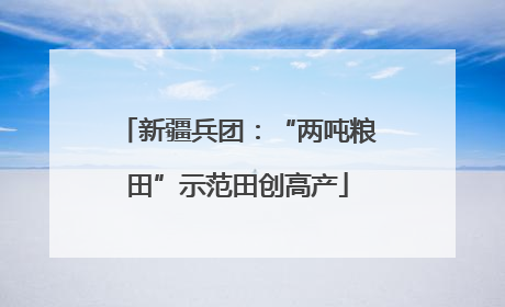 新疆兵团：“两吨粮田”示范田创高产