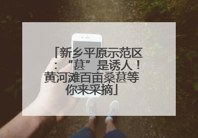 新乡平原示范区：“葚”是诱人！黄河滩百亩桑葚等你来采摘