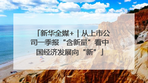 新华全媒+｜从上市公司一季报“含新量”看中国经济发展向“新”